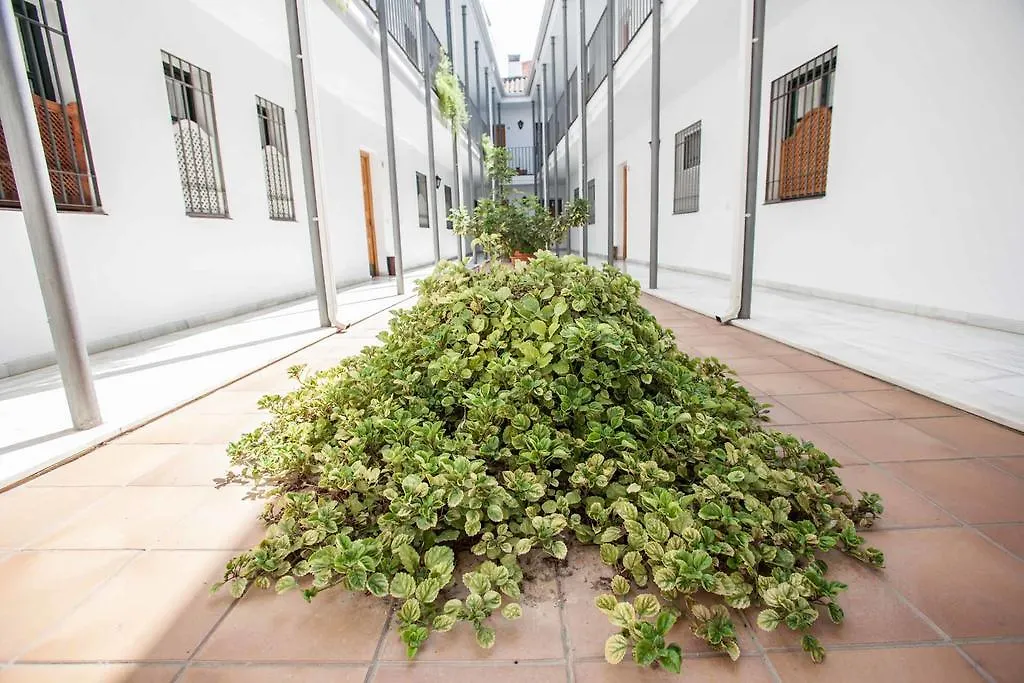 La Casa De Artista, Zona Museo Apartment Seville Spain